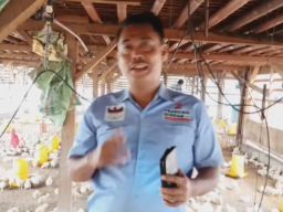 Caleg PAN Dapil Jabar 9 Rela Blusukan ke Kandang Ayam Guna Serap Aspirasi Peternak Unggas