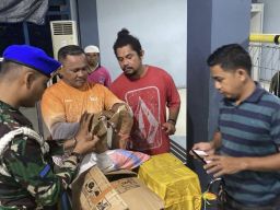 Sinergi Kodaeral IX dan BKSDA Gagalkan Penyelundupan Satwa Dilindungi di Pelabuhan Yos Sudarso Ambon