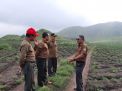 Alih Fungsi Hutan Yang Dikelola KPH Bondowoso, Sesuai Permen RI