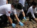 Ketua DPD RI Minta Kelangkaan Pupuk di Indramayu Segera Diatasi 