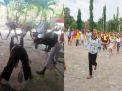 Sanggar Seni "I" Production Tonggak Lahirnya Seniman Manggarai Barat