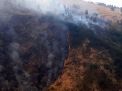 Tim Pemadaman Api Gunung Ringgit, Didatangi 3 Ekor Harimau