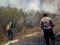 Kebakaran Gunung Ijen Meluas, Jalur Pendakian Terpaksa ditutup