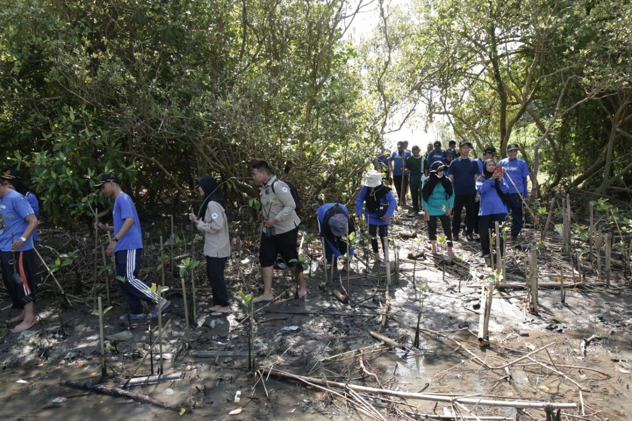 Warga SMKN 3 Yogyakarta bergiliran menanam Pohon Mangrove di sepanjang Pantai Baros Kretek Bantul