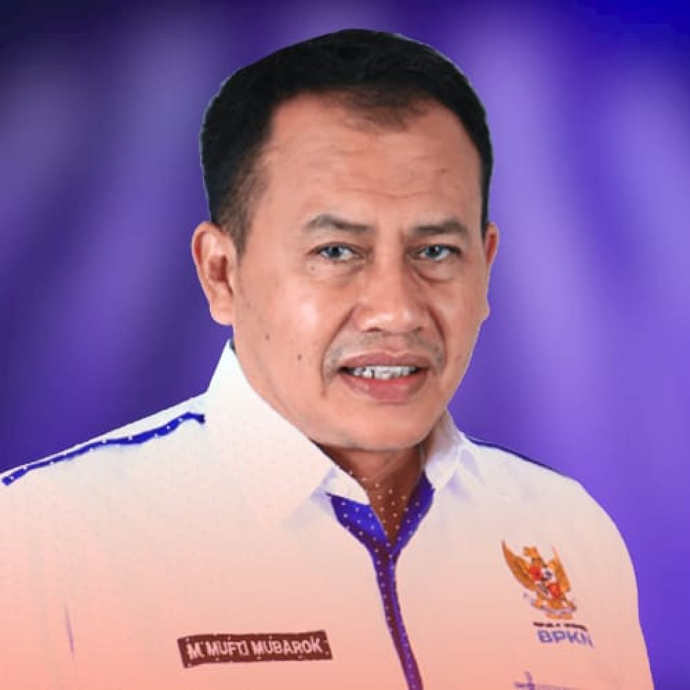 Wakil Ketua BPKN M. Mufti Mubarok : Stop Peredaran Obat Sirup Dan Beri Ganti Rugi Korban