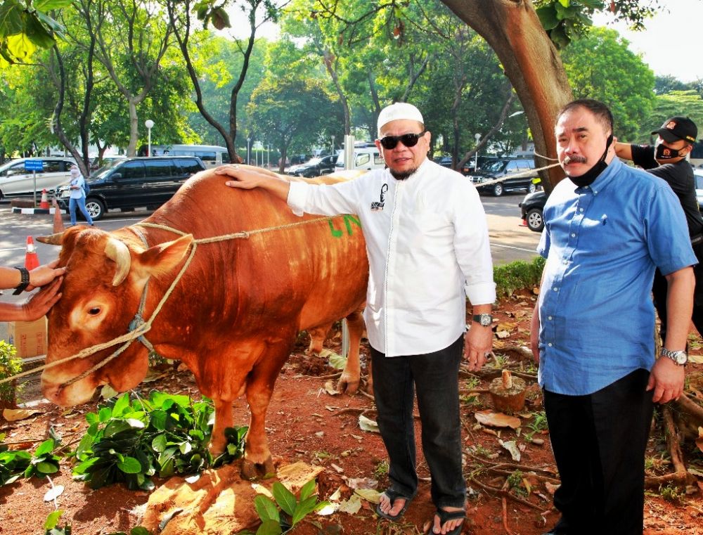 Seperti Ini Tanggapan Ketua DPD RI Terkait Lonjakan Harga Sapi Potong