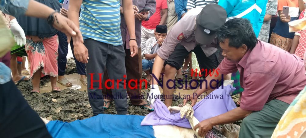 Penemuan Mayat Laki-Laki Di Area Pantai Kecamatan Sokobanah Sampang